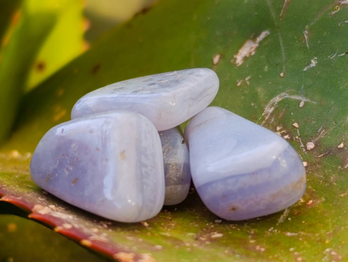 Polished Medium Blue Lace Agate Tumbled Stones - sold per 1 Kg - from Nsanje, Malawi - Toprock Gemstones and Minerals 