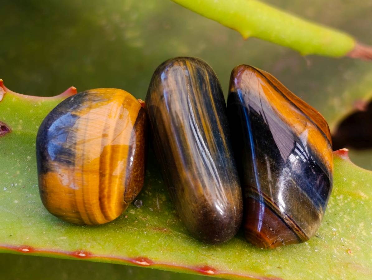 Polished Large Tigers Eye Tumble Stones - sold per 1 kg - From Prieska, South Africa - Toprock Gemstones and Minerals 