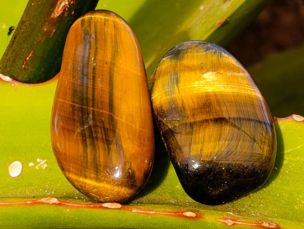 Polished Large Tigers Eye Tumble Stones - sold per 1 kg - From Prieska, South Africa - Toprock Gemstones and Minerals 
