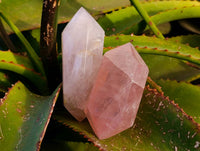 Polished Double Terminated Rose Quartz Points x 6 Madagascar - Toprock Gemstones and Minerals 