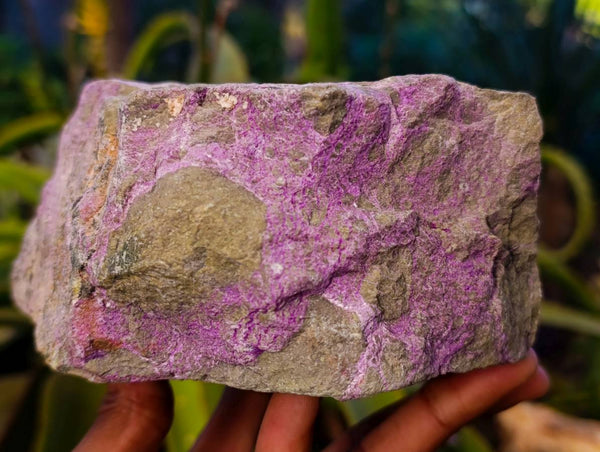 Natural Stichtite and Serpentine Specimen x 1 From Barberton, South Africa