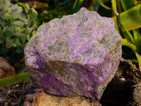Natural Stichtite and Serpentine Specimen x 1 From Barberton, South Africa