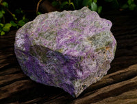 Natural Stichtite and Serpentine Specimen x 1 From Barberton, South Africa