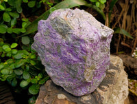 Natural Stichtite and Serpentine Specimen x 1 From Barberton, South Africa