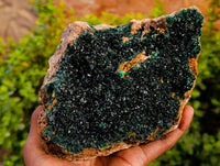 Natural Perfect XL Crystalline Malachite Cabinet Specimen x 12 From Tenke Fungurume, Congo