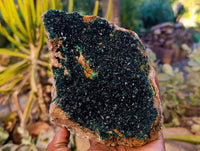 Natural Perfect XL Crystalline Malachite Cabinet Specimen x 12 From Tenke Fungurume, Congo