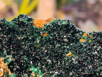 Natural Perfect XL Crystalline Malachite Cabinet Specimen x 12 From Tenke Fungurume, Congo