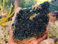 Natural Perfect XL Crystalline Malachite Cabinet Specimen x 12 From Tenke Fungurume, Congo