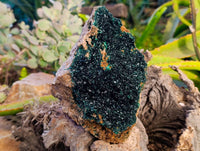 Natural Perfect XL Crystalline Malachite Cabinet Specimen x 12 From Tenke Fungurume, Congo