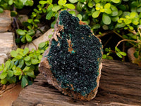 Natural Perfect XL Crystalline Malachite Cabinet Specimen x 12 From Tenke Fungurume, Congo