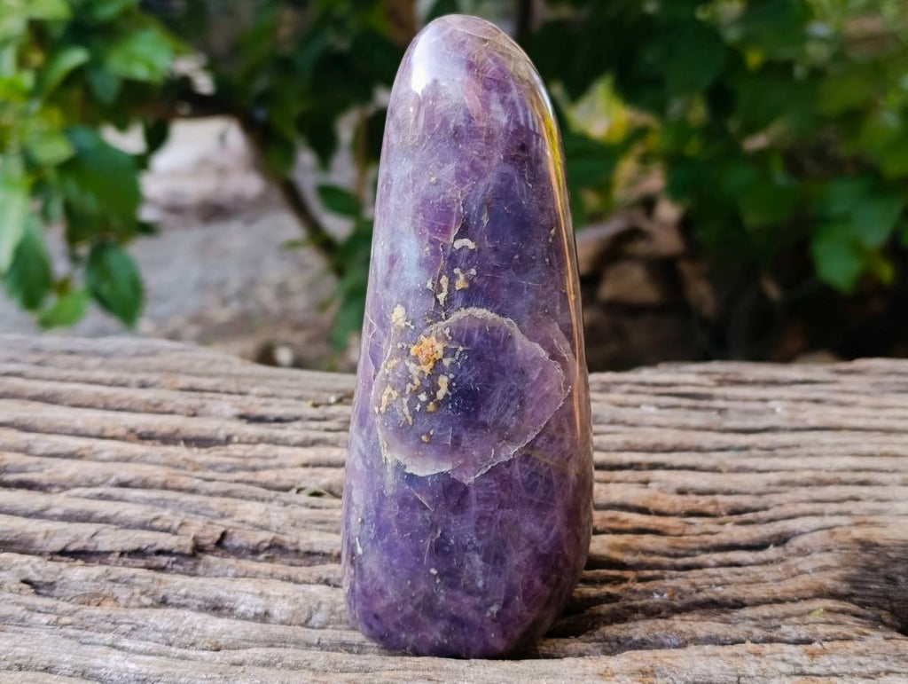 Polished Assortment Of Standing Free Forms x 2 From Madagascar - Toprock Gemstones and Minerals 