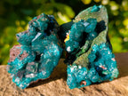 Natural Dioptase On Dolomite Specimens x 4 From Likasi, Congo - Toprock Gemstones and Minerals 