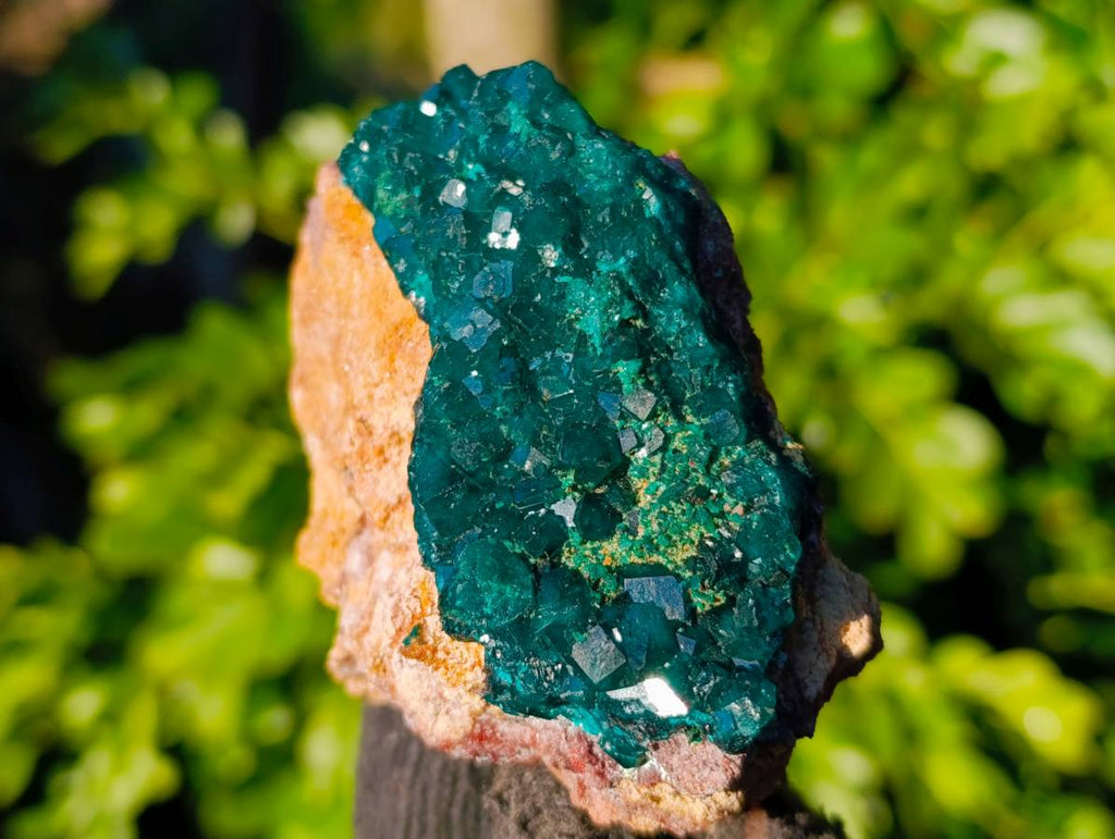 Natural Dioptase On Dolomite Specimens x 4 From Likasi, Congo - Toprock Gemstones and Minerals 