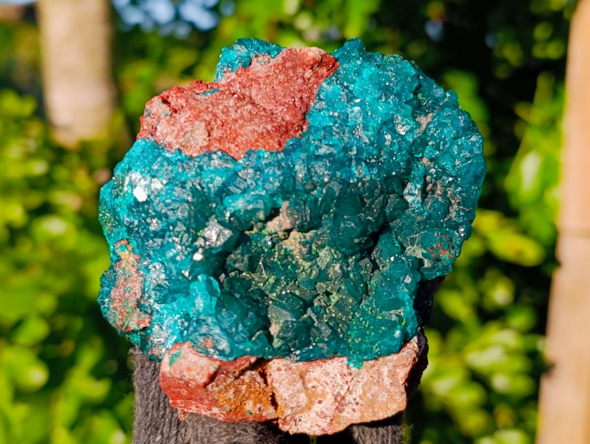 Natural Dioptase On Dolomite Specimens x 4 From Likasi, Congo - Toprock Gemstones and Minerals 