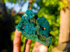 Natural Dioptase On Dolomite Specimens x 4 From Likasi, Congo - Toprock Gemstones and Minerals 