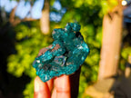 Natural Dioptase On Dolomite Specimens x 4 From Likasi, Congo - Toprock Gemstones and Minerals 