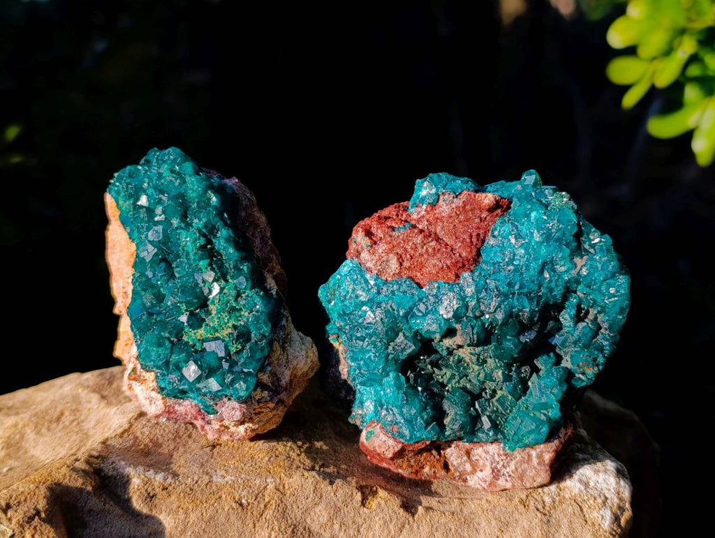 Natural Dioptase On Dolomite Specimens x 4 From Likasi, Congo - Toprock Gemstones and Minerals 