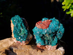 Natural Dioptase On Dolomite Specimens x 4 From Likasi, Congo - Toprock Gemstones and Minerals 
