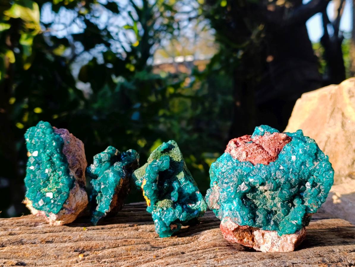 Natural Dioptase On Dolomite Specimens x 4 From Likasi, Congo - Toprock Gemstones and Minerals 