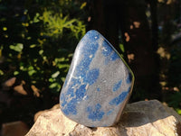 Polished Blue Spotted Spinel Standing Free Forms x 2 From Madagascar - Toprock Gemstones and Minerals 