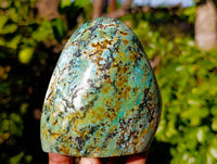 Polished African Turquoise Chrysocolla Standing Free Forms x 3 From South Africa - Toprock Gemstones and Minerals 