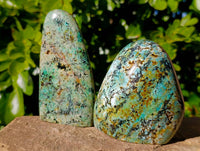 Polished African Turquoise Chrysocolla Standing Free Forms x 3 From South Africa - Toprock Gemstones and Minerals 
