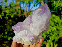 Natural Jacaranda Amethyst Quartz Clusters x 3 From Mumbwa, Zambia