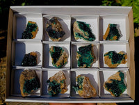 Natural Crystalline Malachite Specimens x 12 From Tenke Fungurume, Congo