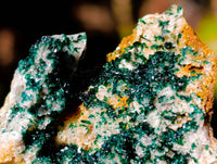 Natural Crystalline Malachite Specimens x 12 From Tenke Fungurume, Congo