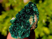 Natural Crystalline Malachite Specimens x 12 From Tenke Fungurume, Congo