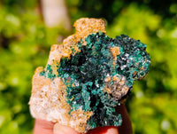 Natural Crystalline Malachite Specimens x 12 From Tenke Fungurume, Congo