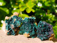 Natural Crystalline Malachite Specimens x 12 From Tenke Fungurume, Congo