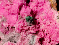 Natural Salrose Cobaltion Dolomite with Crystalline Malachite x 4 From Kakanda, Congo
