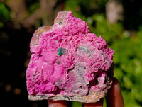 Natural Salrose Cobaltion Dolomite with Crystalline Malachite x 4 From Kakanda, Congo