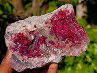 Natural Salrose Cobaltion Dolomite with Crystalline Malachite x 4 From Kakanda, Congo