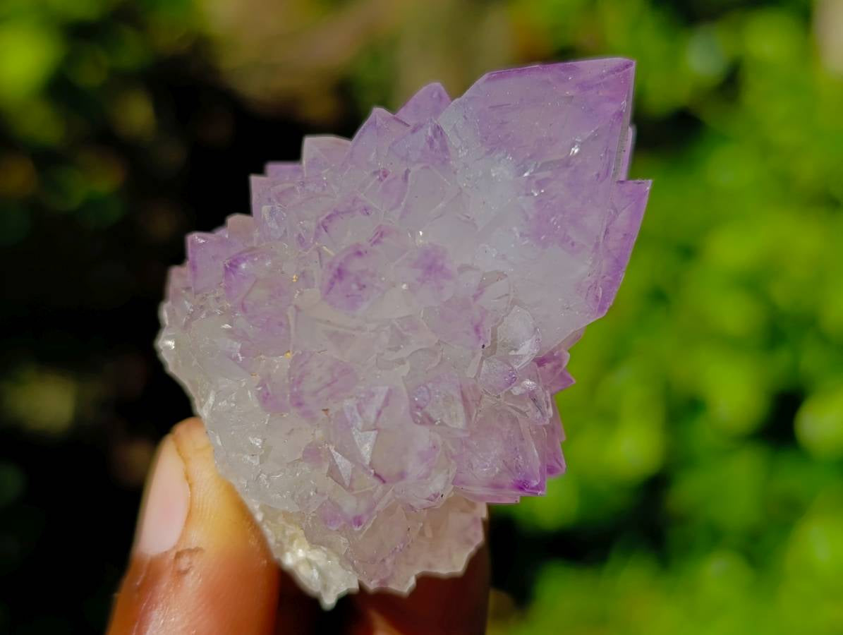 Natural Amethyst Spirit Quartz Crystals x 65 From Boekenhouthoek, South Africa - Toprock Gemstones and Minerals 