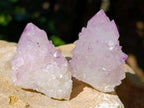 Natural Amethyst Spirit Quartz Crystals x 65 From Boekenhouthoek, South Africa - Toprock Gemstones and Minerals 