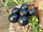 Polished Black Basalt Spheres x 8 From Antsirabe, Madagascar - Toprock Gemstones and Minerals 