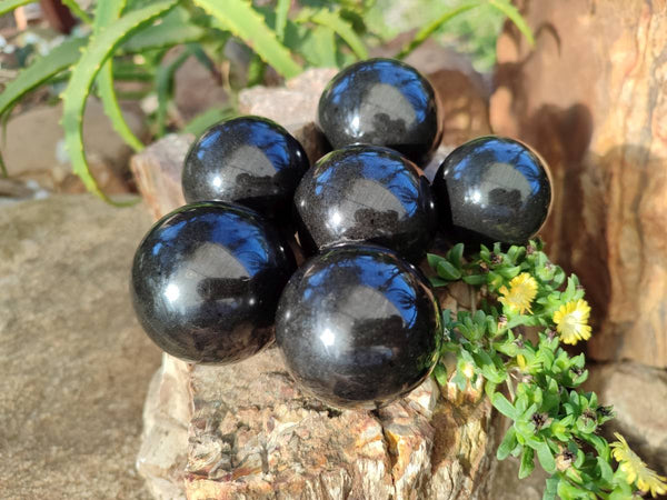 Polished Black Basalt Spheres x 8 From Antsirabe, Madagascar