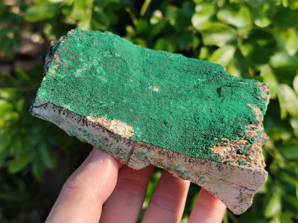 Natural Super Rare Crystalline Malachite on Dolomite Matrix Specimens x 3 From Tenke Fungurume, Congo - Toprock Gemstones and Minerals 