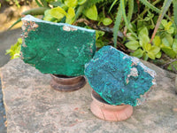 Natural Super Rare Crystalline Malachite on Dolomite Matrix Specimens x 3 From Tenke Fungurume, Congo - Toprock Gemstones and Minerals 
