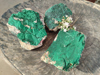Natural Super Rare Crystalline Malachite on Dolomite Matrix Specimens x 3 From Tenke Fungurume, Congo - Toprock Gemstones and Minerals 