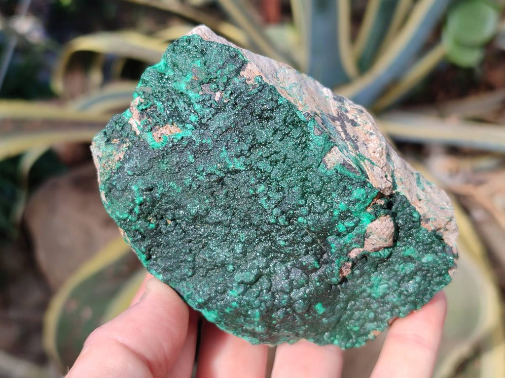 Natural Super Rare Crystalline Malachite on Dolomite Matrix Specimens x 3 From Tenke Fungurume, Congo - Toprock Gemstones and Minerals 