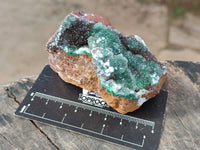 Natural Drusy Quartz coated Ball Malachite On Dolomite Matrix Specimens x 6 From Kambove, Congo - Toprock Gemstones and Minerals 