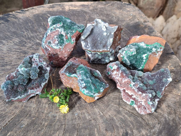 Natural Drusy Quartz coated Ball Malachite On Dolomite Matrix Specimens x 6 From Kambove, Congo