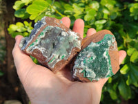 Natural Drusy Quartz coated Ball Malachite On Dolomite Matrix Specimens x 6 From Kambove, Congo - Toprock Gemstones and Minerals 