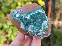 Natural Drusy Quartz coated Ball Malachite On Dolomite Matrix Specimens x 6 From Kambove, Congo - Toprock Gemstones and Minerals 