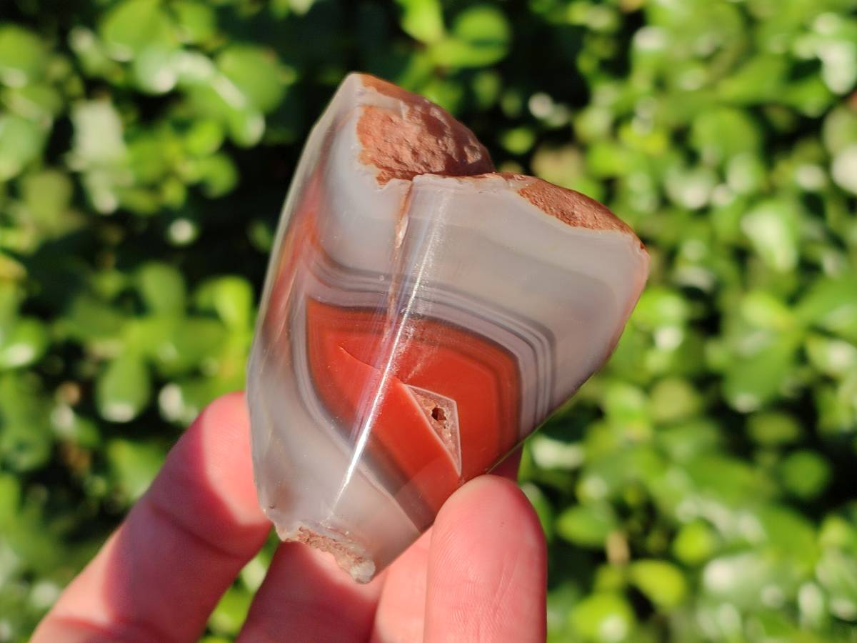 Polished On One Side Red Sashe River Agate Nodules x 20 From Zimbabwe - Toprock Gemstones and Minerals 