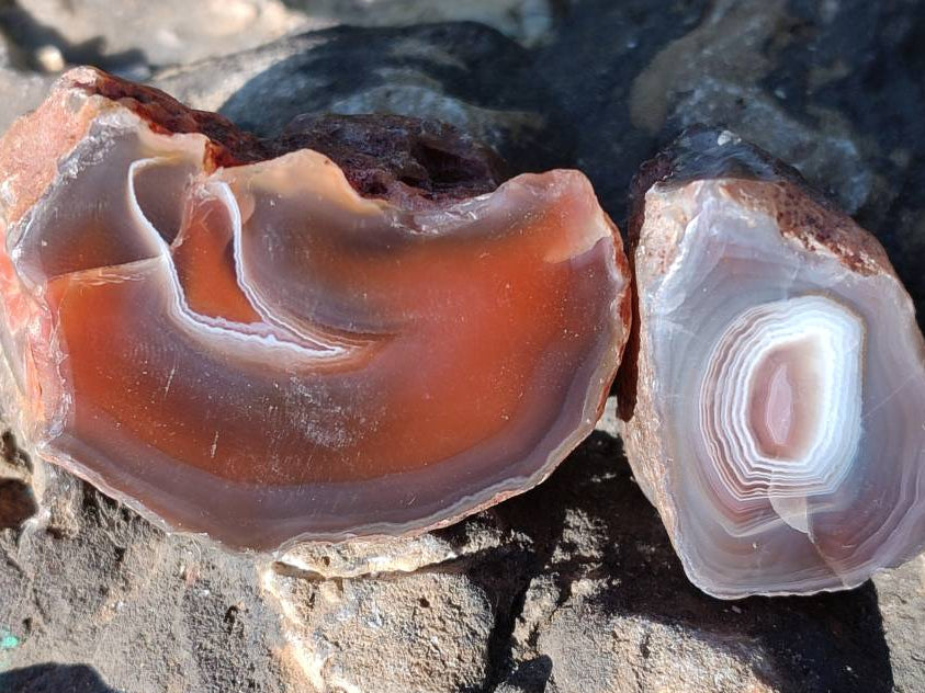 Polished On One Side Red Sashe River Agate Nodules x 20 From Zimbabwe - Toprock Gemstones and Minerals 