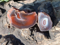 Polished On One Side Red Sashe River Agate Nodules x 20 From Zimbabwe - Toprock Gemstones and Minerals 